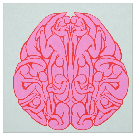 brain ファブリック (見本)