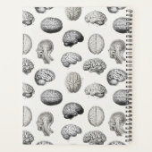 Brain Anatomy Biology Antique Illustrations プランナー手帳 (裏面)