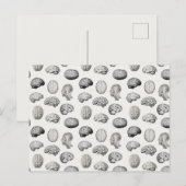 Brain Anatomy Biology Illustrations シーズンポストカード (正面/裏面)