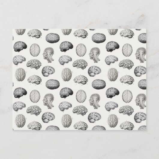 Brain Anatomy Biology Illustrations シーズンポストカード (正面)