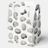 Brain Anatomy Biology Illustrations フェイバーボックス (オープン)