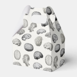 Brain Anatomy Biology Illustrations フェイバーボックス