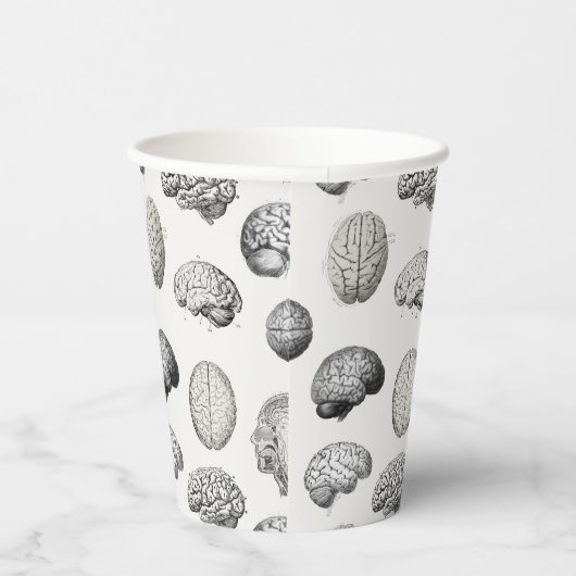 Brain Anatomy Biology Illustrations 紙コップ (右)
