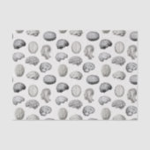 Brain Anatomy Biology Illustrations 薄葉紙 (正面)