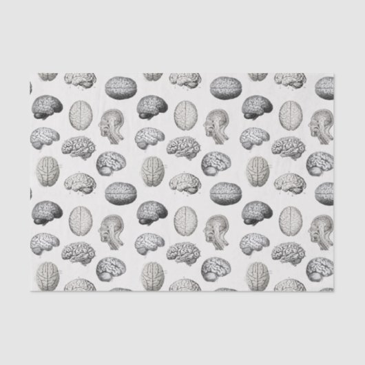 Brain Anatomy Biology Illustrations 薄葉紙 (正面)