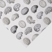 Brain Anatomy Biology Illustrations 薄葉紙 (詳細)