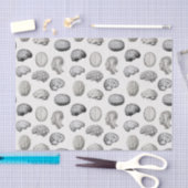 Brain Anatomy Biology Illustrations 薄葉紙 (クラフト)