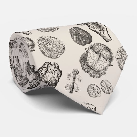 Brain History ネクタイ (ロール)