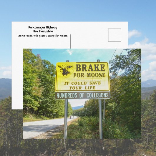 Brake for Moose Kancamagus Highway New Hampshire ポストカード