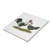 Brakelの鶏 タイル (側面)