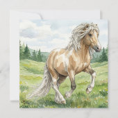 Brana Pinto Palomino Icelandic Watercolor (正面)