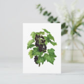 Branch with Black Currant Fruit ポストカード (スタンド正面)