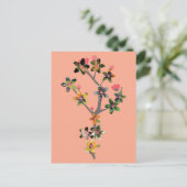 Branches of Insects ポストカード (スタンド正面)