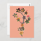 Branches of Insects ポストカード (正面/裏面)