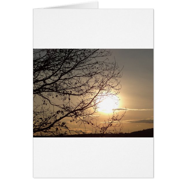 branchsとの美しい日没 (正面)