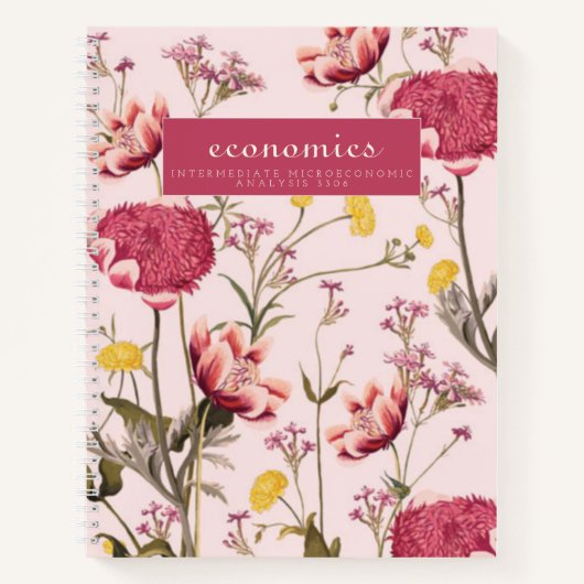 brandes economicsノート ノートブック (正面)