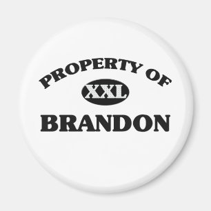 BRANDONの特性 マグネット
