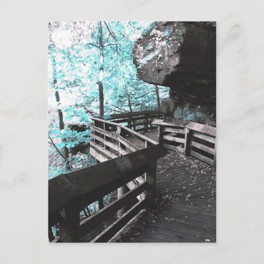 brandywine boardwalkはがき ポストカード (正面)