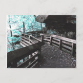 brandywine boardwalkはがき ポストカード (正面)