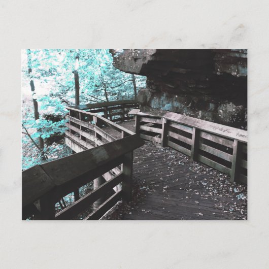 brandywine boardwalkはがき ポストカード (正面)