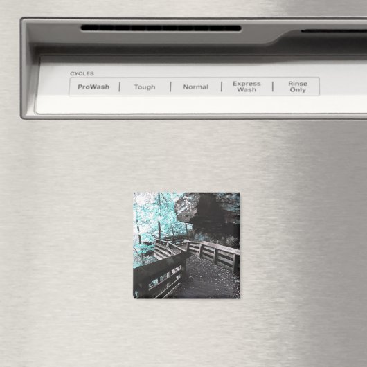 brandywine boardwalk磁石 マグネット (インサイチュ (食洗機))