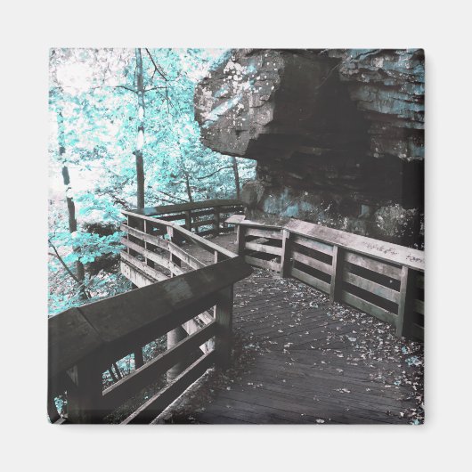 brandywine boardwalk磁石 マグネット (正面)