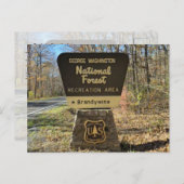 Brandywine Campground Postcard ポストカード (正面/裏面)