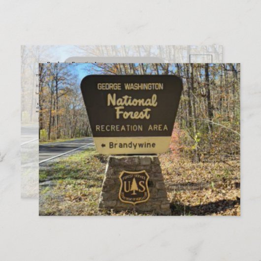 Brandywine Campground Postcard ポストカード (正面/裏面)
