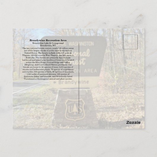 Brandywine Campground Postcard ポストカード (裏面)