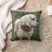 Bransonの枕 クッション (ブランケット)