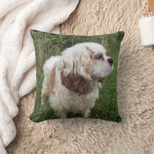 Bransonの枕 クッション (ブランケット)