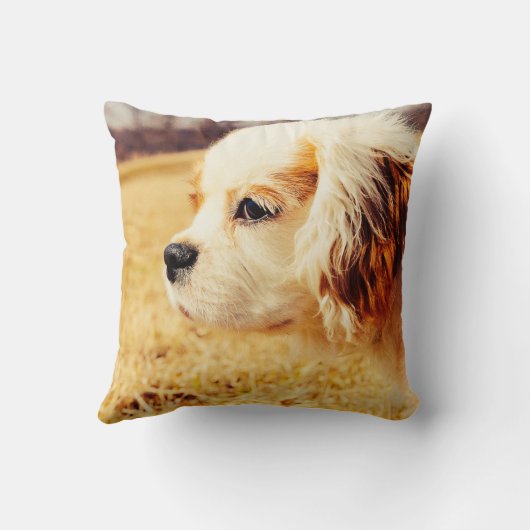 Bransonの枕 クッション (裏面)