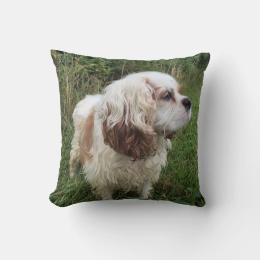 Bransonの枕 クッション (正面)