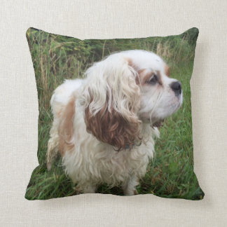 Bransonの枕 クッション