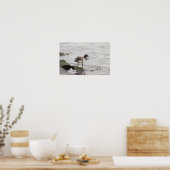 Brant Goose Photo Poster ポスター (キッチン)