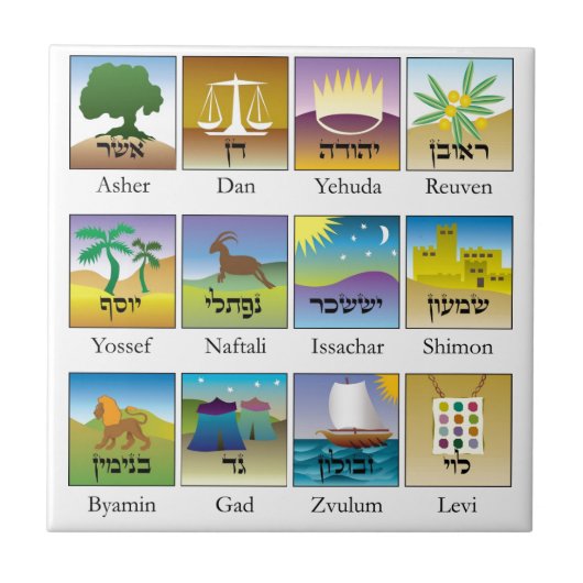 BrasõesによってdasはTribos deイスラエル共和国のconformeがTorah居眠り タイル (正面)