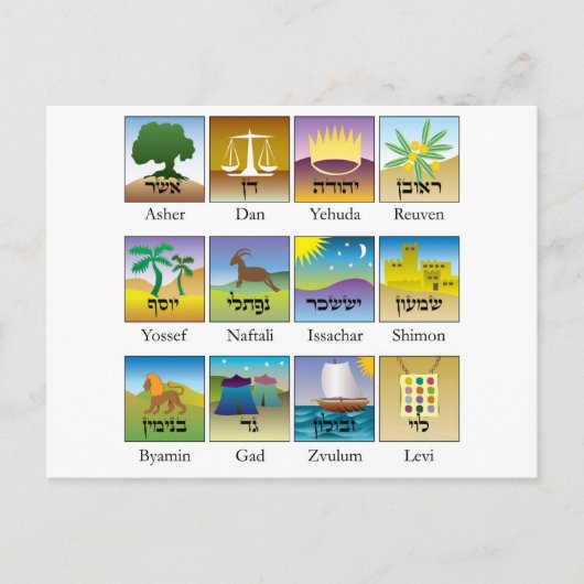 BrasõesによってdasはTribos deイスラエル共和国のconformeがTorah居眠り ポストカード (正面)