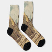 Bratislava by Richard Lux ソックス (右)