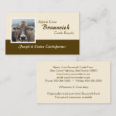 Braunviehの高山の乳牛 名刺 (正面/裏面)