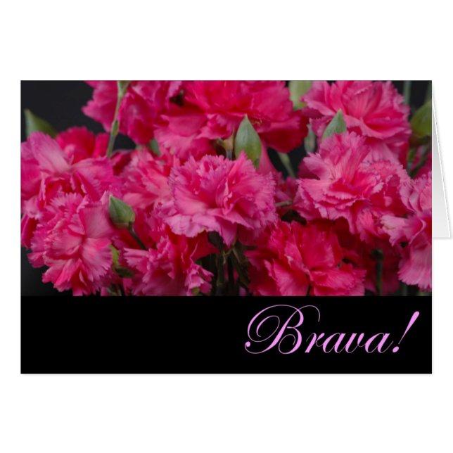 Brava (正面横)