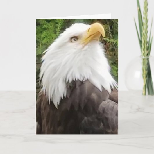 Brave Eagle Greeting Card カード (正面)
