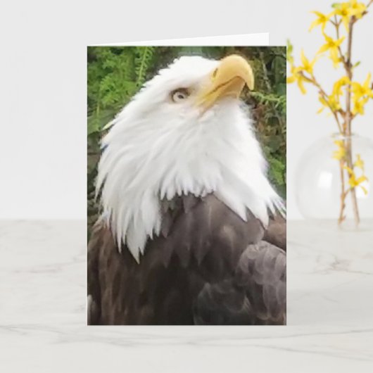 Brave Eagle Greeting Card カード (黄色い花)