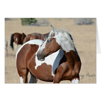 Braveheart Card女性