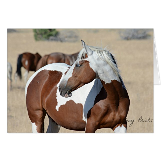 Braveheart Card女性 (正面横)