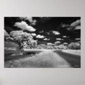 Bray Roadポスター ポスター (正面)