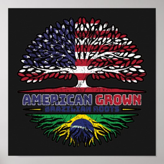 Brazilian Brazil US American USA United States ポスター (正面)