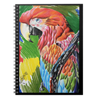 Brazilian Scarlat Macaw - Hand Drawn Wildlife Art ノートブック