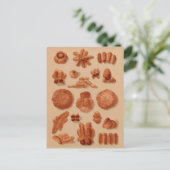 Breadsイタリアンヴィンテージ・ベーカースのイラスト・チャート ポストカード (スタンド正面)