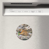 Break_Magnetを使用する マグネット (インサイチュ (食洗機))
