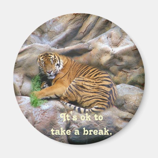 Break_Magnetを使用する マグネット (正面)